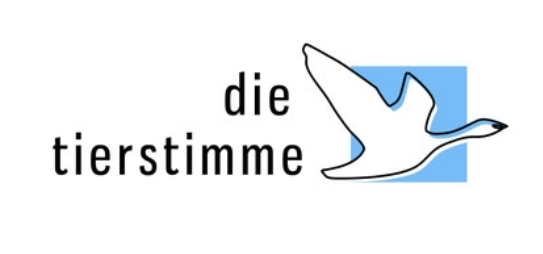 die tierstimme
